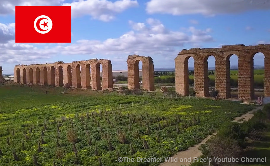How to drive in Tunisia?