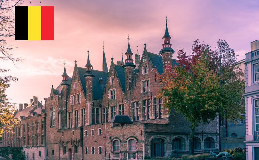 International Driving Permit in Belgium