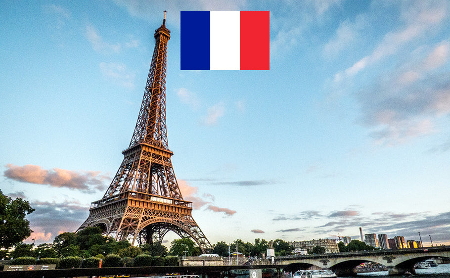 International Driving Document in France