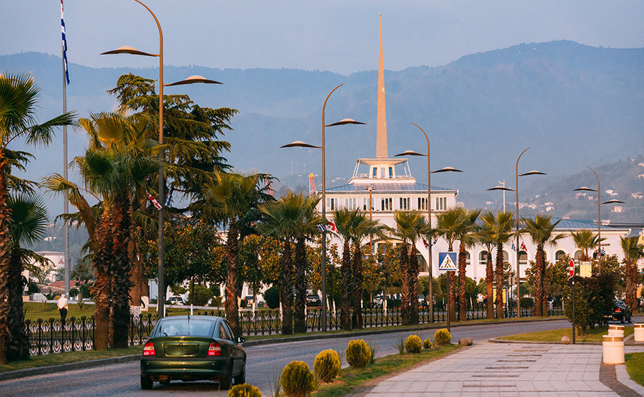 Can I Drive in Georgia with a Foreign License? What You Need to Know Before Renting a Car