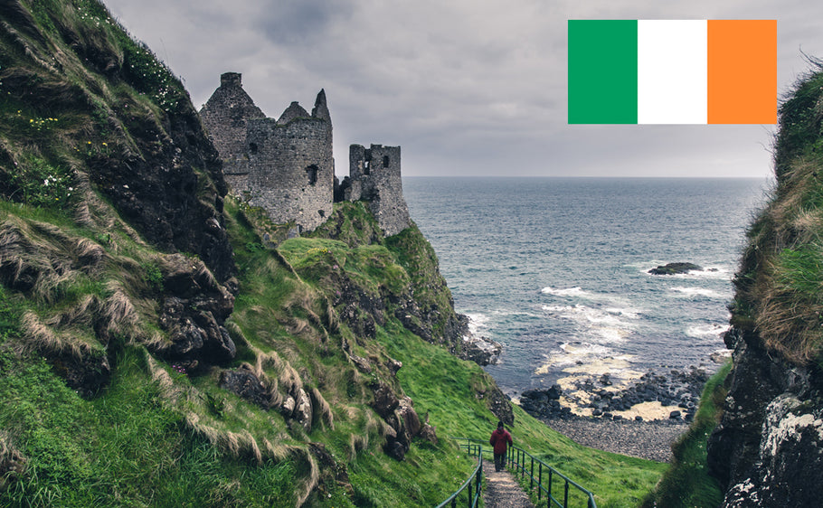 International Driver's Permit in Ireland
