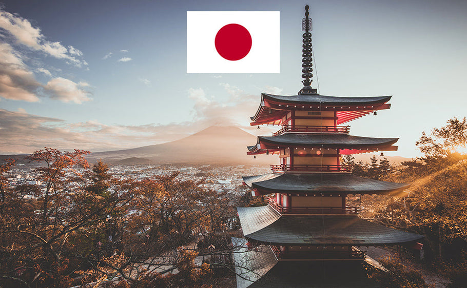 International Driver's License in Japan
