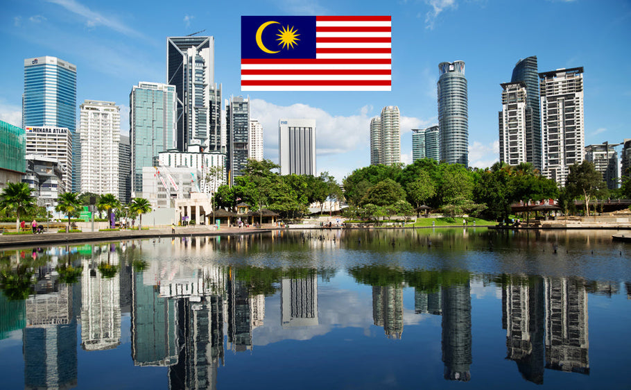 International Driving License in Malaysia
