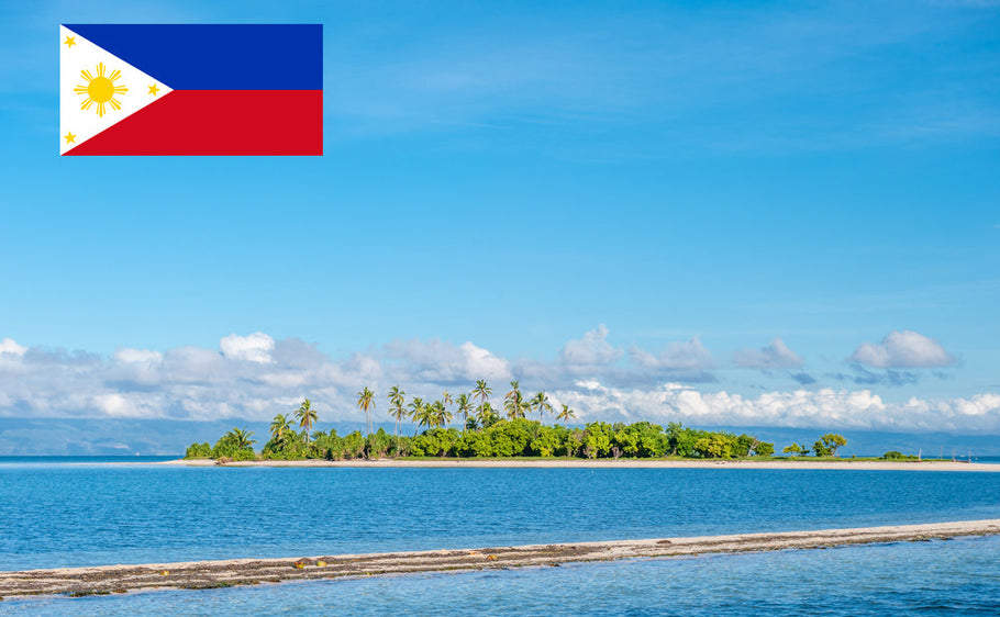 International Driving License in Philippines