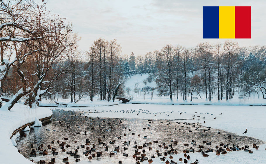 International Driving Permit in Romania