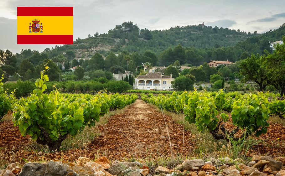 International Driver's License in Spain