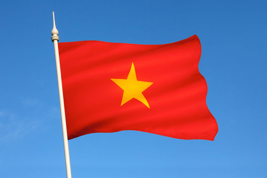 如何获得前往越南的国际驾驶执照