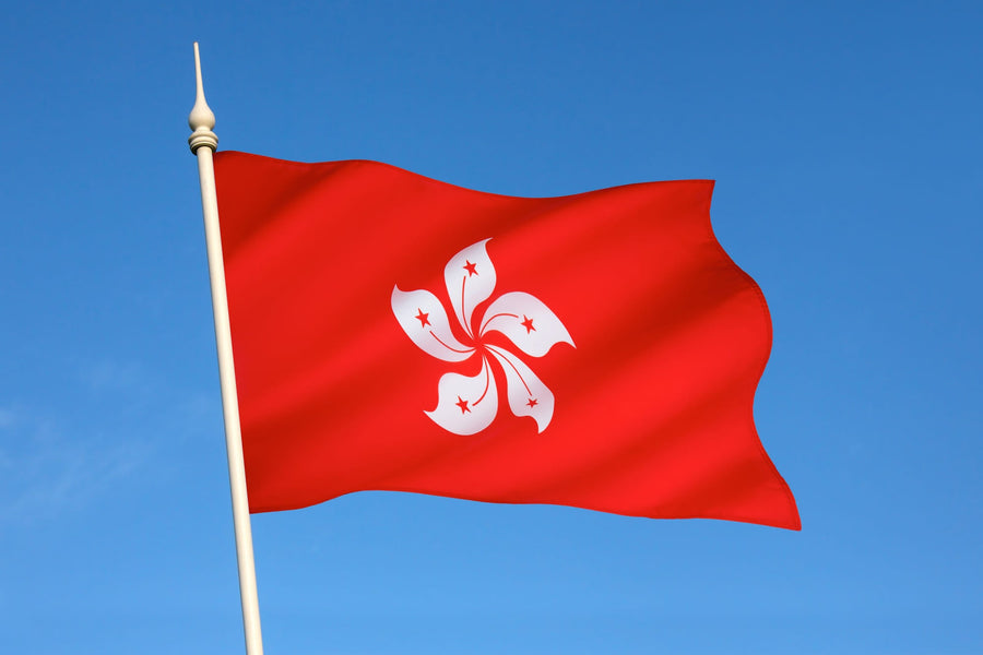 如何获取前往香港的国际驾驶执照