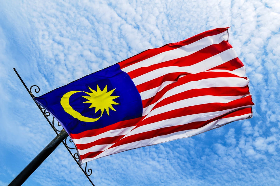 How to obtain an International Driver's License for Traveling to Malaysia