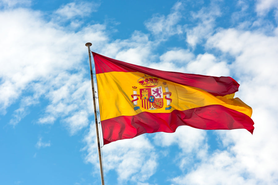 Do You Need an International Driver's License in Spain? Your Complete Guide for International Travelers