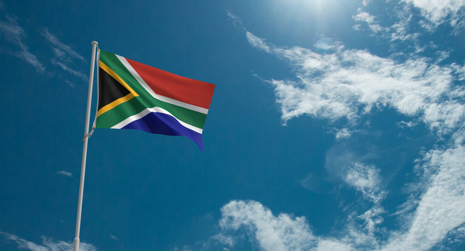 How to Get a South African Driver's License